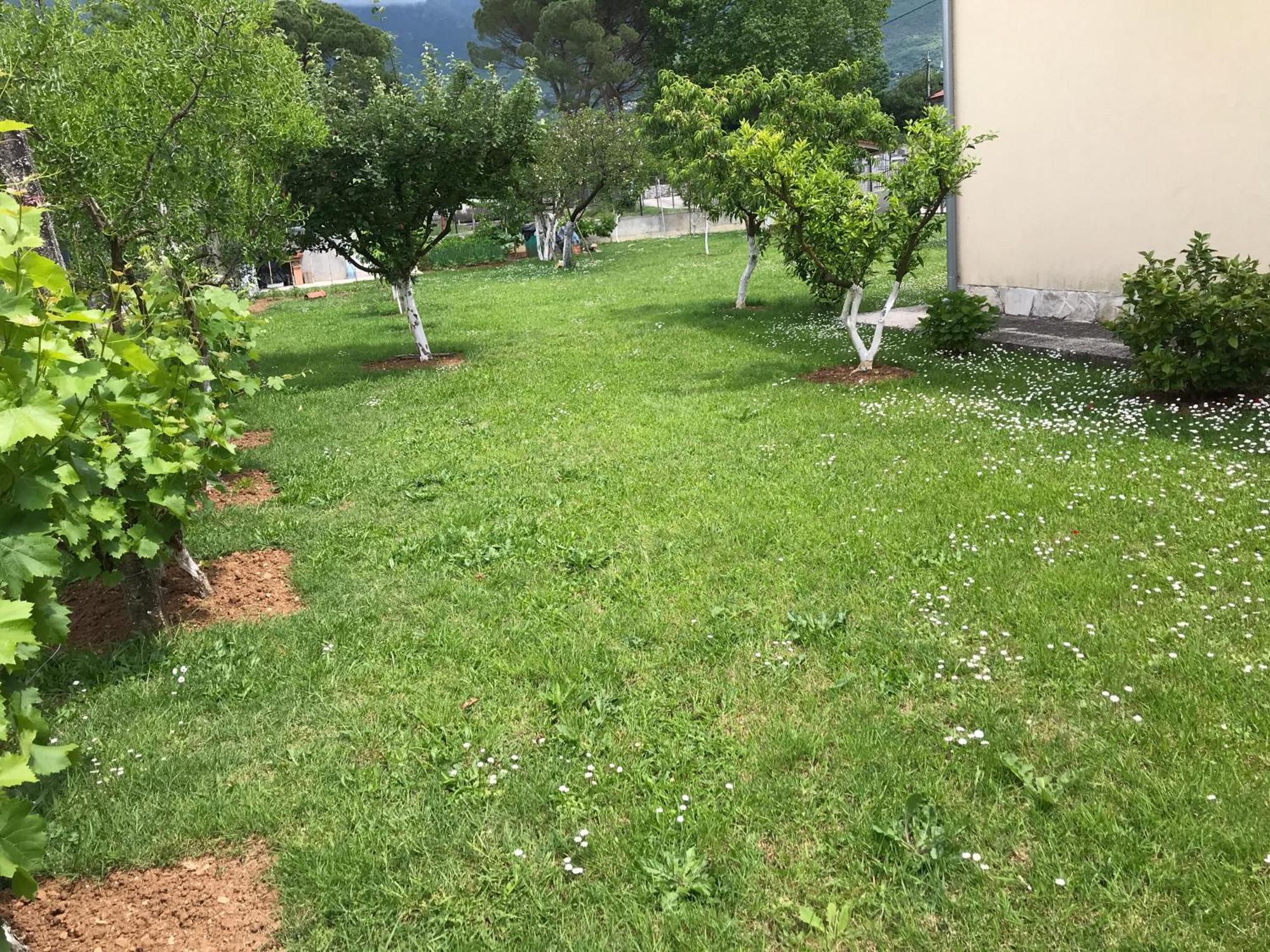 Apartment K2 Radanovići Eksteriør billede